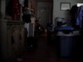 puppy fetching tennis ball--Cottonelle