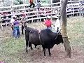 JARIPEO EN SDPO(EL TERRIBLE)