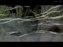 teen-truth-a-film-created-by-teens-trailer-1.html