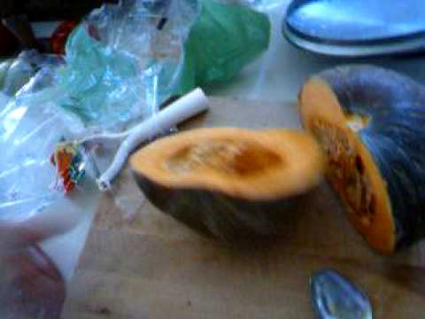 how to collect yellow squash seeds