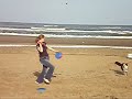 Beachcup Frisbeedog Guide Beachcup Frisbeedog Guide
