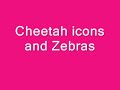 Cheetah Icons and Zebras