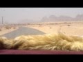 سالم علي لبو بن رشيد يوم العيد 2010 خط باعرام الريده