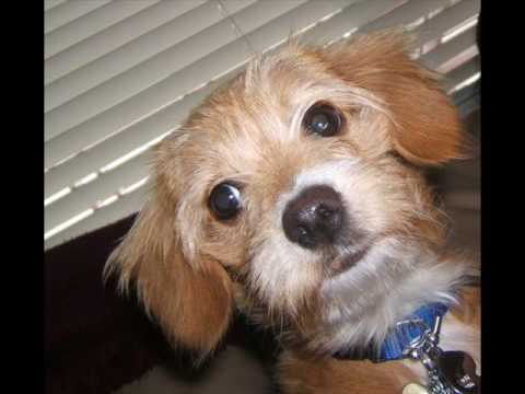RiP iSaBeLLa.. i miss you