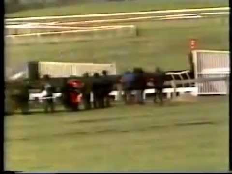 racing results cheltenham