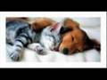 Assistir ao v�deo
