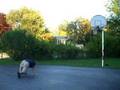 RNBA Retardid National Basket Ball Association