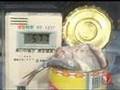 シュールストレミング缶