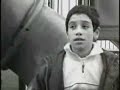 Ammeli - Sentimientos encadenados