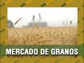 MERCADO DE GRANOS