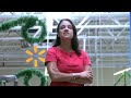 A subsidiária brasileira da rede de supermercados Walmart foi escolhida a Empresa do Ano pelo GUIA EXAME DE SUSTENTABILIDADE 2009.