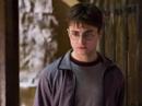 harry and ginny