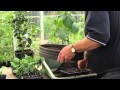 New Horizon Multi-Purpose Compost and Growbag 
