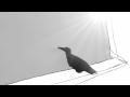 Krzysztof Szafraniec - Wino (The Wine) 2010 - Trailer - HD