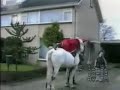Sinterklaas bloopers !