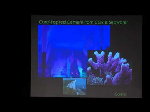 benyus - Presentation by Janine Benyus, President of the Biomimicry Institute, during the Stockholm Dialogue, which was part of the 2011 Nobel Laureate Symposium on g...