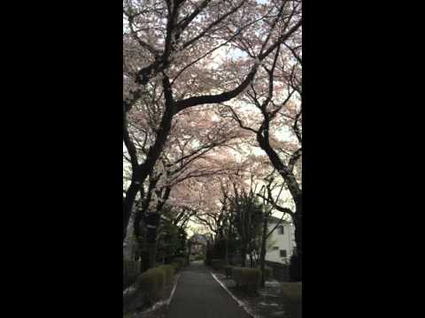 YouTube Preview Image