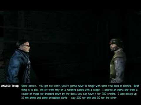 how to properly use ibid