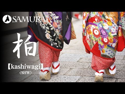 動画