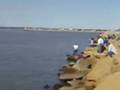videos de pesca con taralla