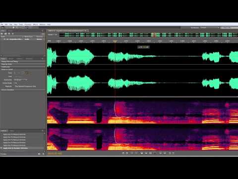 how to eliminate sneezing