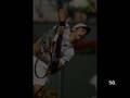 videos de Novak Djokovic: 100 images of his career