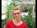 Aquaponics in a Greenhouse Dome