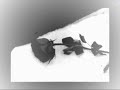 Placebo- Sleeping With Ghost