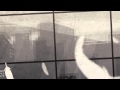 Vit Fågel - Vancouver Film School (VFS)