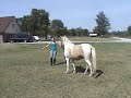 Lunging Miracle