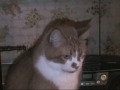 HomeMovie 2