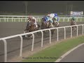 2011 Dubai Golden Shaheen (G1), ROCKET MAN