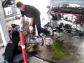 Pattaya Pro Racing Series, Rd 5, Bira Circuit, Chonburi - Pro Car paddock, pitlane & grid views