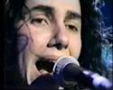PJ Harvey - Naked Cousin