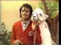Michael Jackson and Louie the Llama
