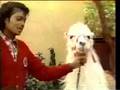 Michael Jackson and Louie the Llama
