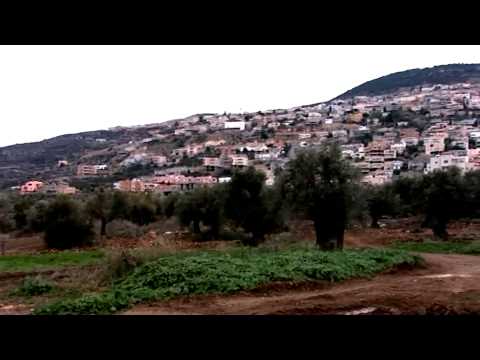 תרגום באנגלית