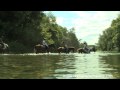 Equitation - Chavetourte