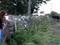 Paddy Corbally Galway Shock