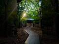 #貴船神社#柿田川#雨#