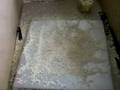 Rosonance on steel plate with kuskus!