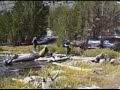 eastern-sierra-hiking-fishing-2007-.html