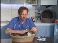 Rexpressz - A macskák ellátása