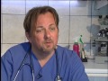 A macskák ellátása A macskák ellátása