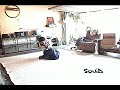 Detours - An Experimental Dance Collaboration - Squid Detours - An Experimental Dance Collaboration - Squid