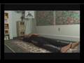 Zen Yoga Back Stretches : Zen Yoga Isolated Star Burst Pose