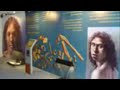 Exposició sobre Atapuerca a Calella