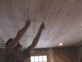 White pine v-groove ceiling going up!