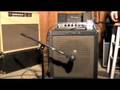 Ampeg B15 Catalinbread Heliotrope