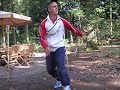 jumper (lacoste-boy) BVN